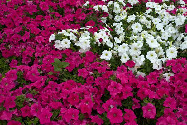 Réinventer son habitat dans la somme grâce à l'isolation extérieure