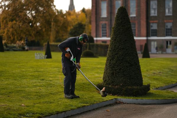 7 astuces pour optimiser l'entretien de votre jardin