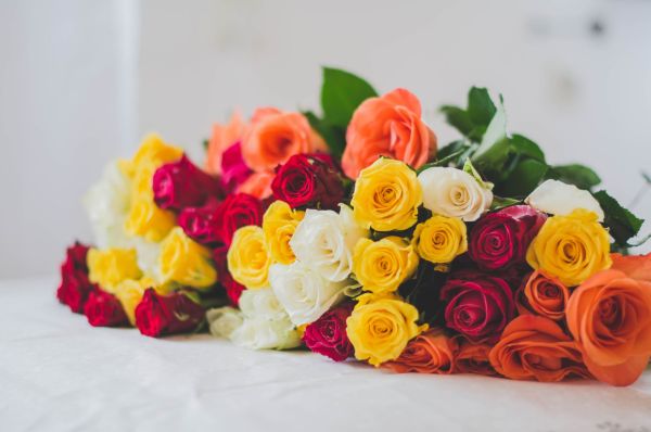 Explorez des bouquets abordables pour chaque occasion