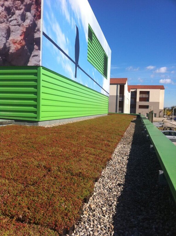 Les atouts inédits des toitures végétalisées avec iko